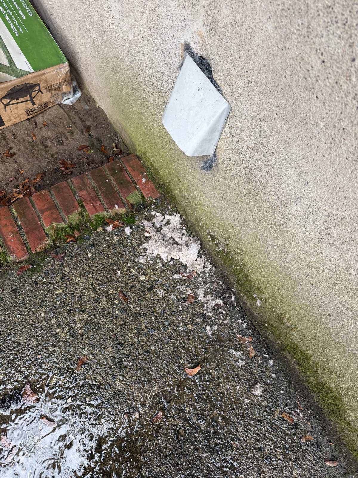 A vent flap on a foundation wall, lint scattered on the ground beneath it