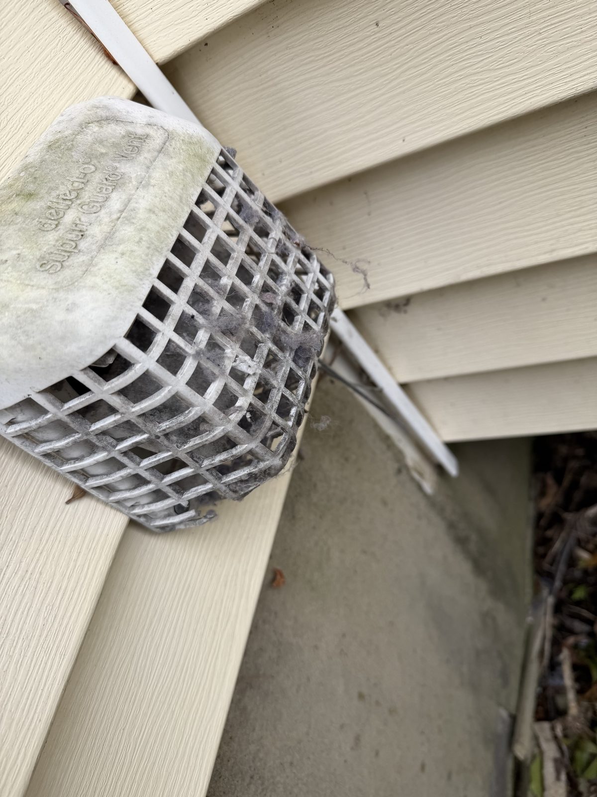 A dryer vent guard on the side of a house, its wire cage choked with lint